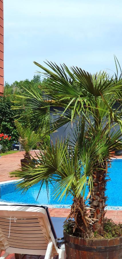 Apartament Cacao Residence Napospart Kültér fotó